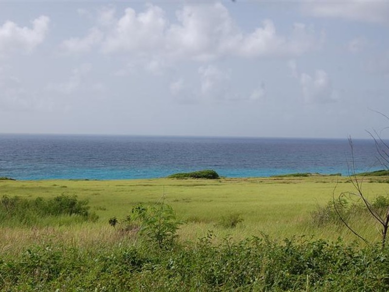 Land For Sale in Green Point Barbados